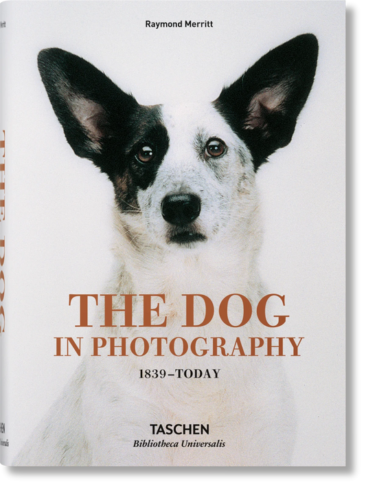 THE DOG IN PHOTOGRAPHY. 1839-TODAY