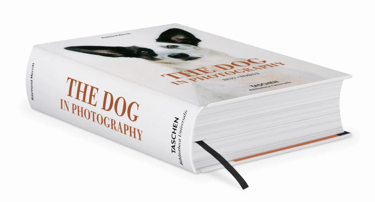 THE DOG IN PHOTOGRAPHY. 1839-TODAY