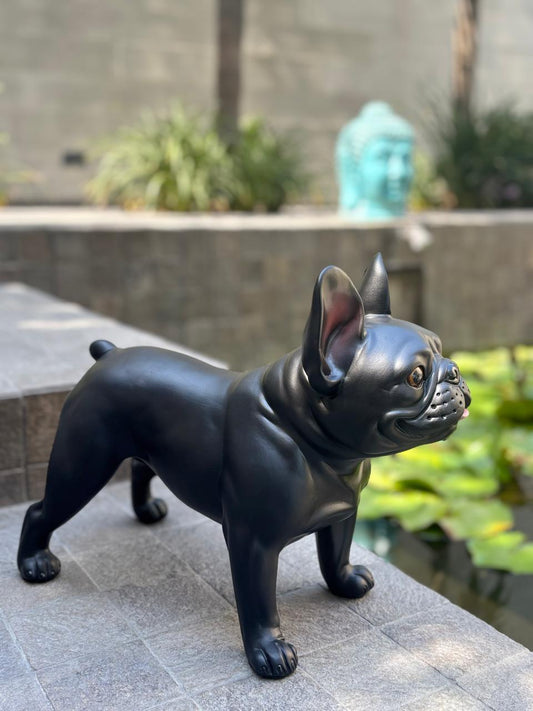 BULLDOG NEGRO